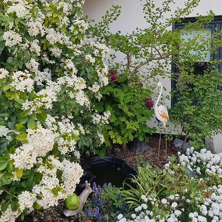 L'atelier - Neuf 3 Etoiles Sur La Route Des Vins D'alsace * Voegtlinshoffen