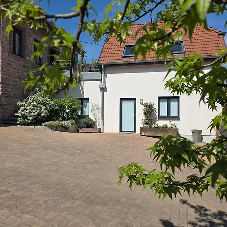 L'atelier - Neuf 3 Etoiles Sur La Route Des Vins D'alsace *