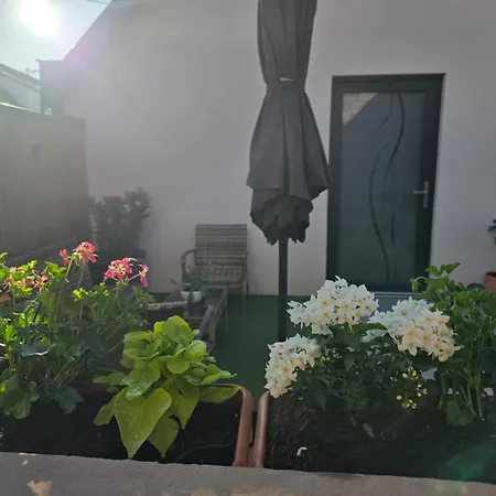 L'atelier - Neuf 3 Etoiles Sur La Route Des Vins D'alsace Voegtlinshoffen