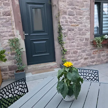 Apartamento L'atelier - Neuf 3 Etoiles Sur La Route Des Vins D'alsace *