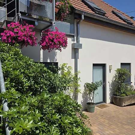 L'atelier - Neuf 3 Etoiles Sur La Route Des Vins D'alsace Voegtlinshoffen